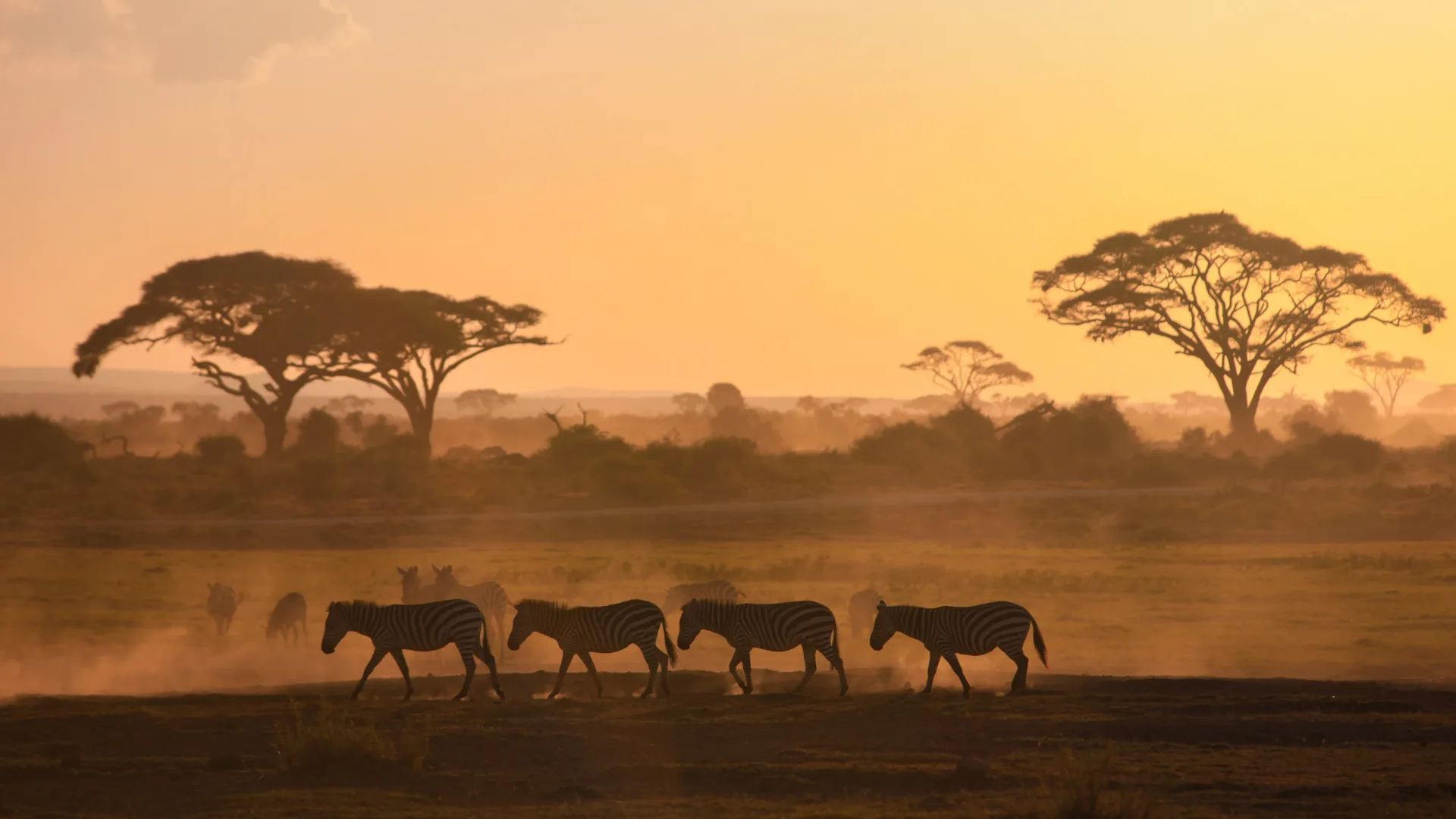 Kenya safari landscape with wildlife, Travelshoppe travel agency