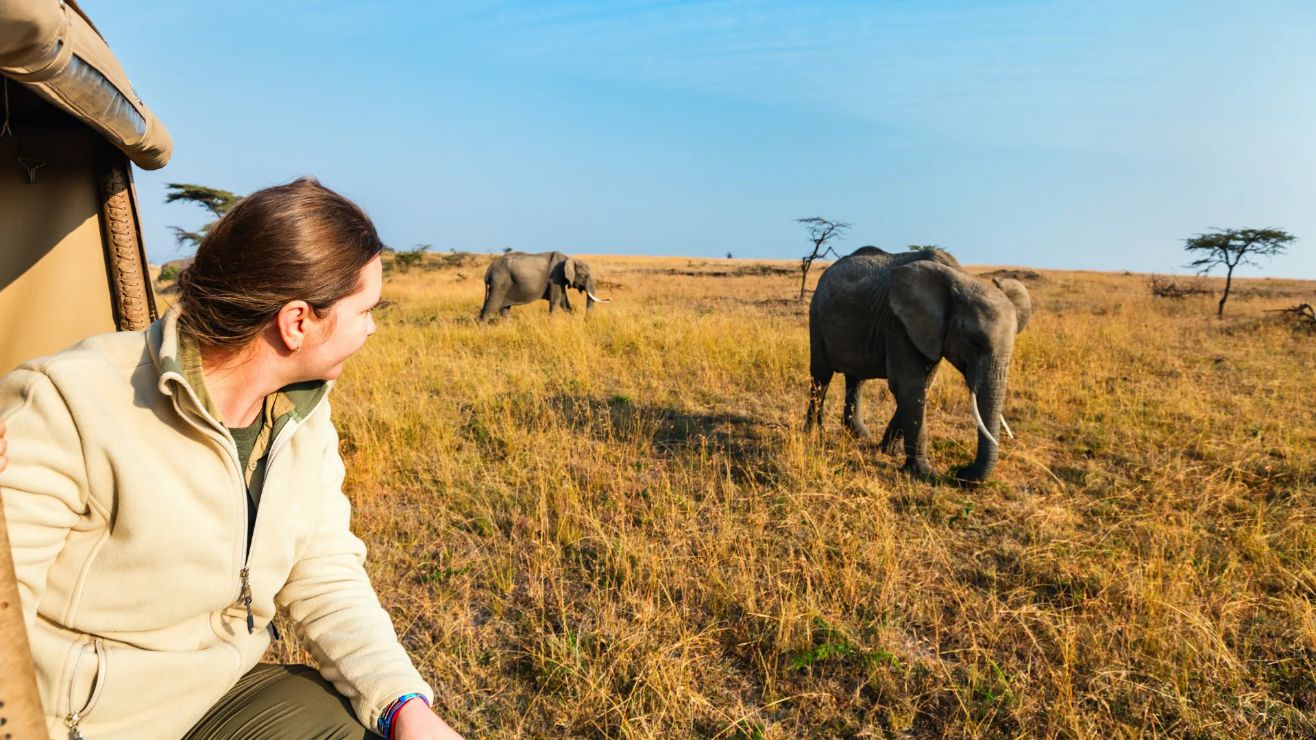 Game drive vehicle on Kenya safari at golden hour with wildlife